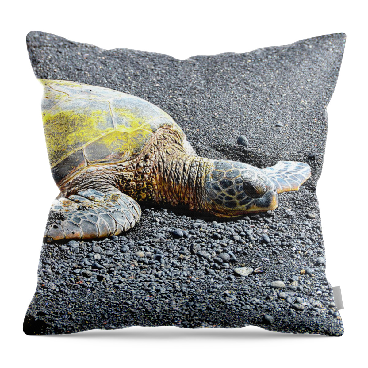 David Lawson Throw Pillow featuring the photograph Rest Time by David Lawson