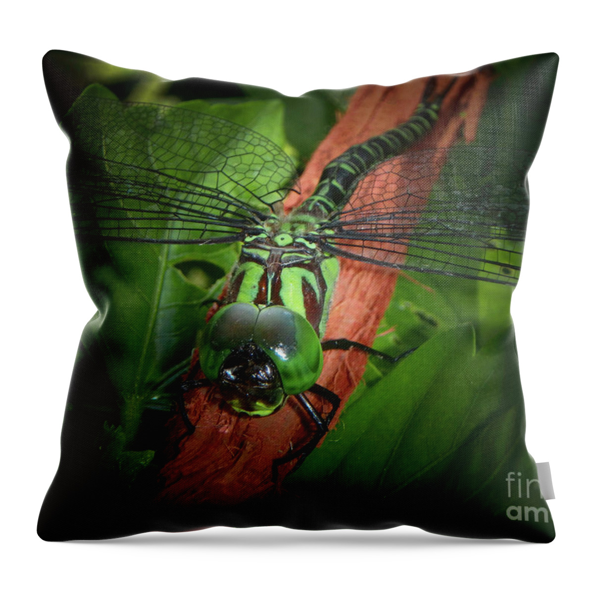 Dragon Throw Pillow featuring the photograph Resting Dragon by Judy Hall-Folde