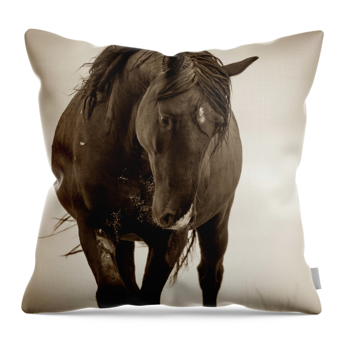 Wild Horses Throw Pillow featuring the photograph Reverence by Mary Hone