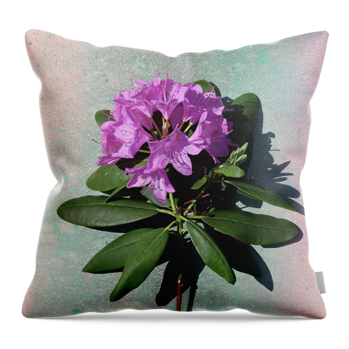 Rhododendron Throw Pillow featuring the photograph Rhododendron by Paul Gaj