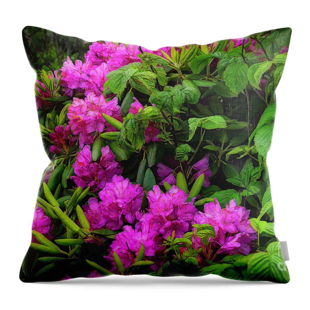 Rhododendron Throw Pillow featuring the photograph Rhododendrons of the Blue Ridge Mountains by Shelia Hunt