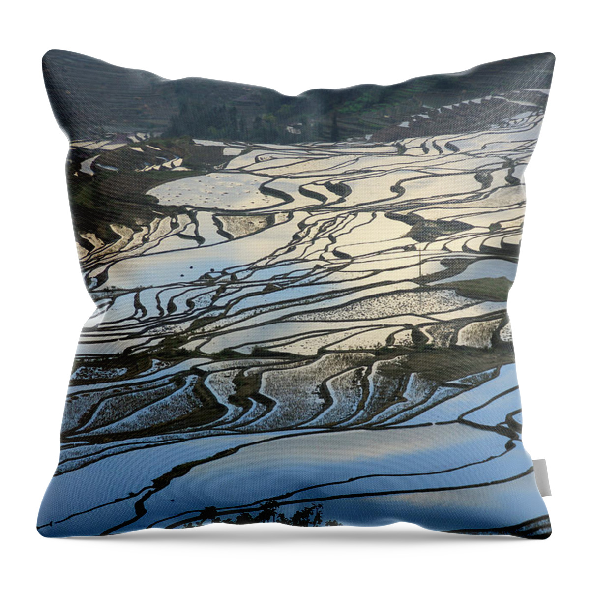 Yuanyang Throw Pillow featuring the photograph Rice terraces Chinese Restaurant Decoration by Josu Ozkaritz