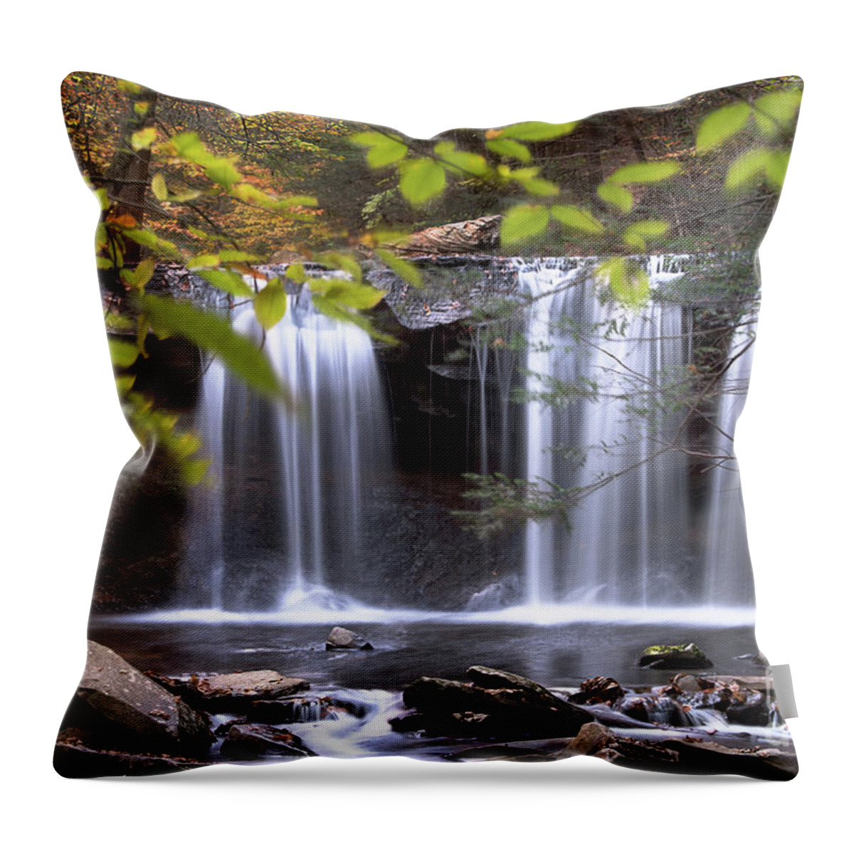 Waterfalls Of Ricketts Glen Pennsylvania Throw Pillow featuring the photograph Ricketts Glen - Oneida Waterfall by Rehna George