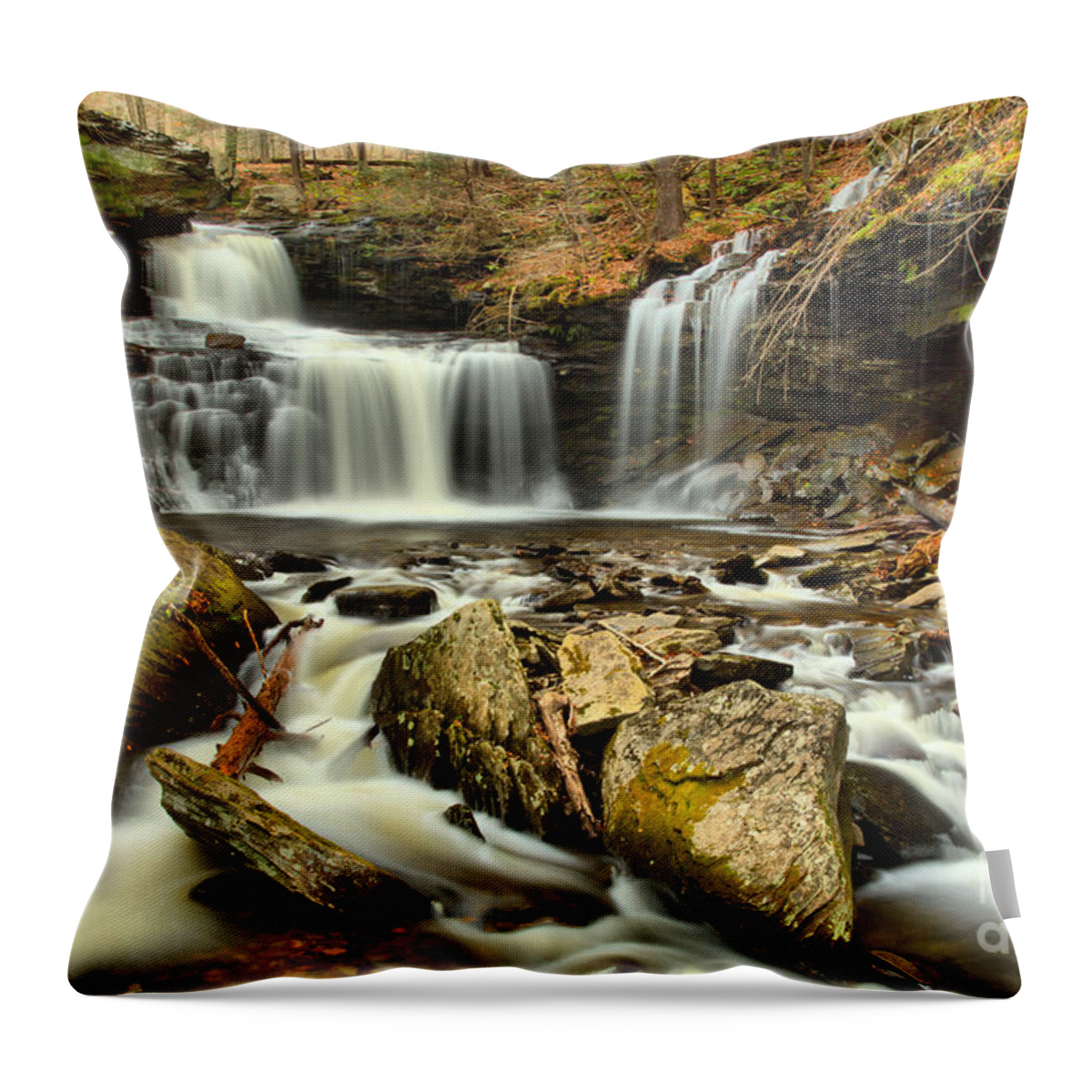 R Throw Pillow featuring the photograph Ricketts Glen Streams And Falls by Adam Jewell