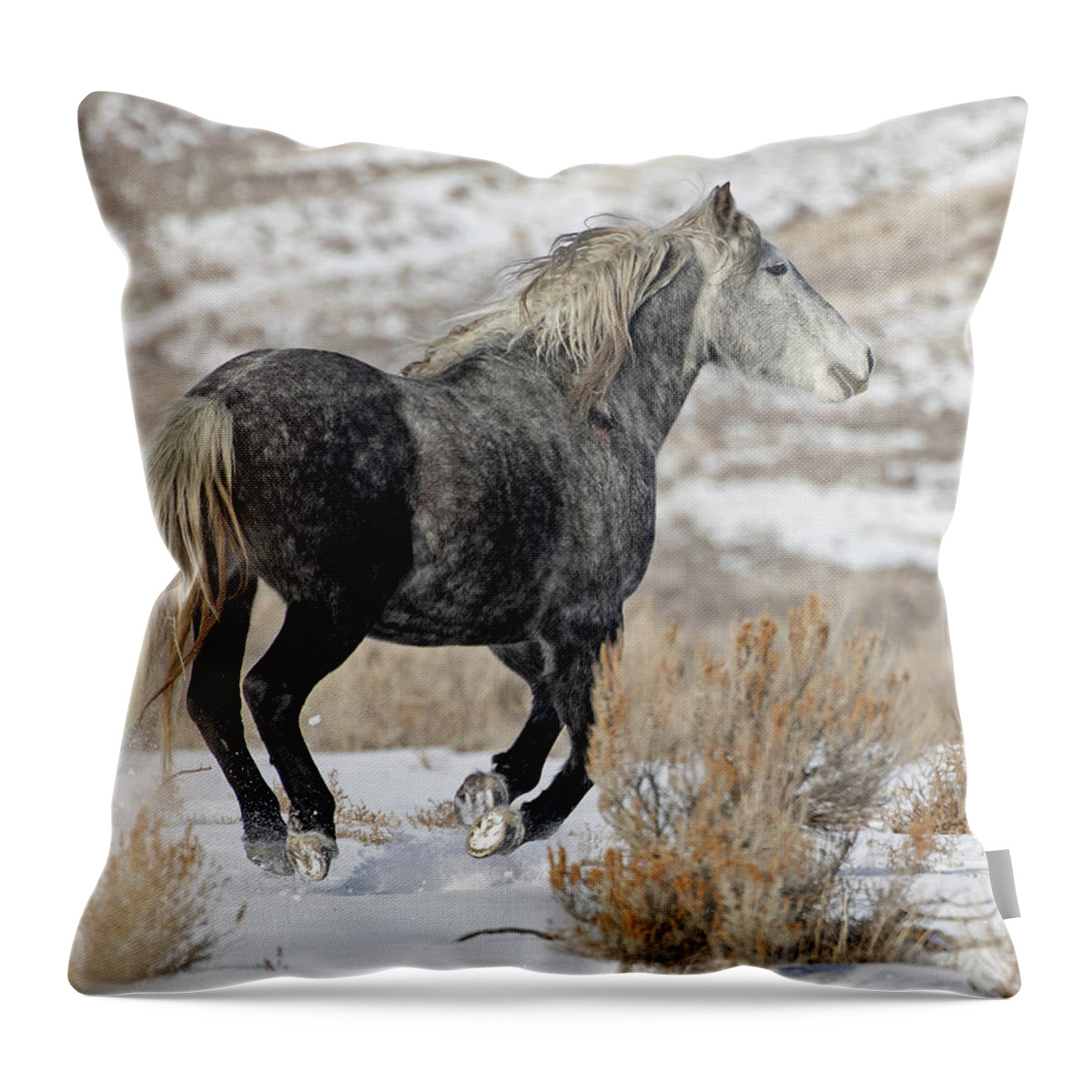 Wild Mustangs Throw Pillow featuring the photograph Rigel on the Run by Mindy Musick King