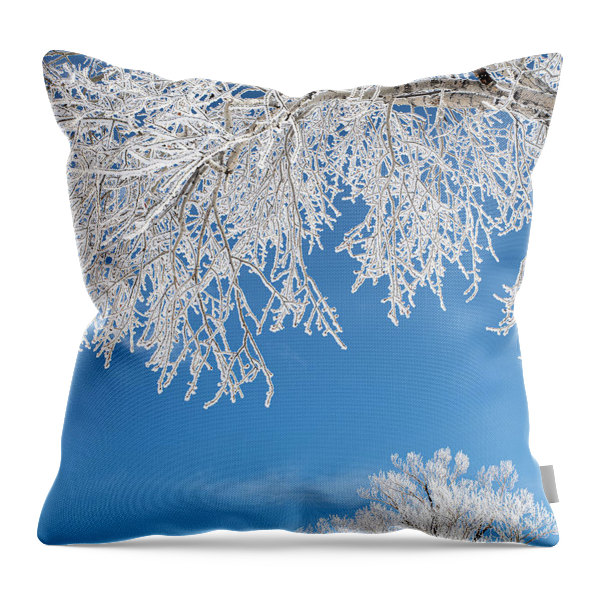 Jackson Throw Pillow featuring the photograph Rime Frost in the Tetons by Douglas Wielfaert