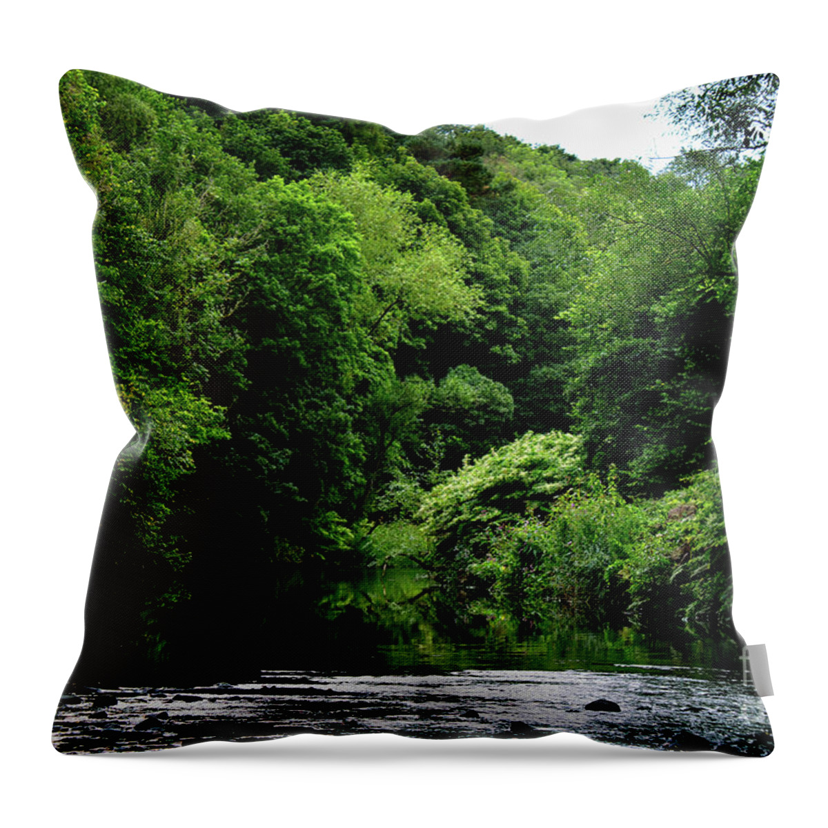 Featured Throw Pillow featuring the photograph Riparian Forest - Study II by Doc Braham