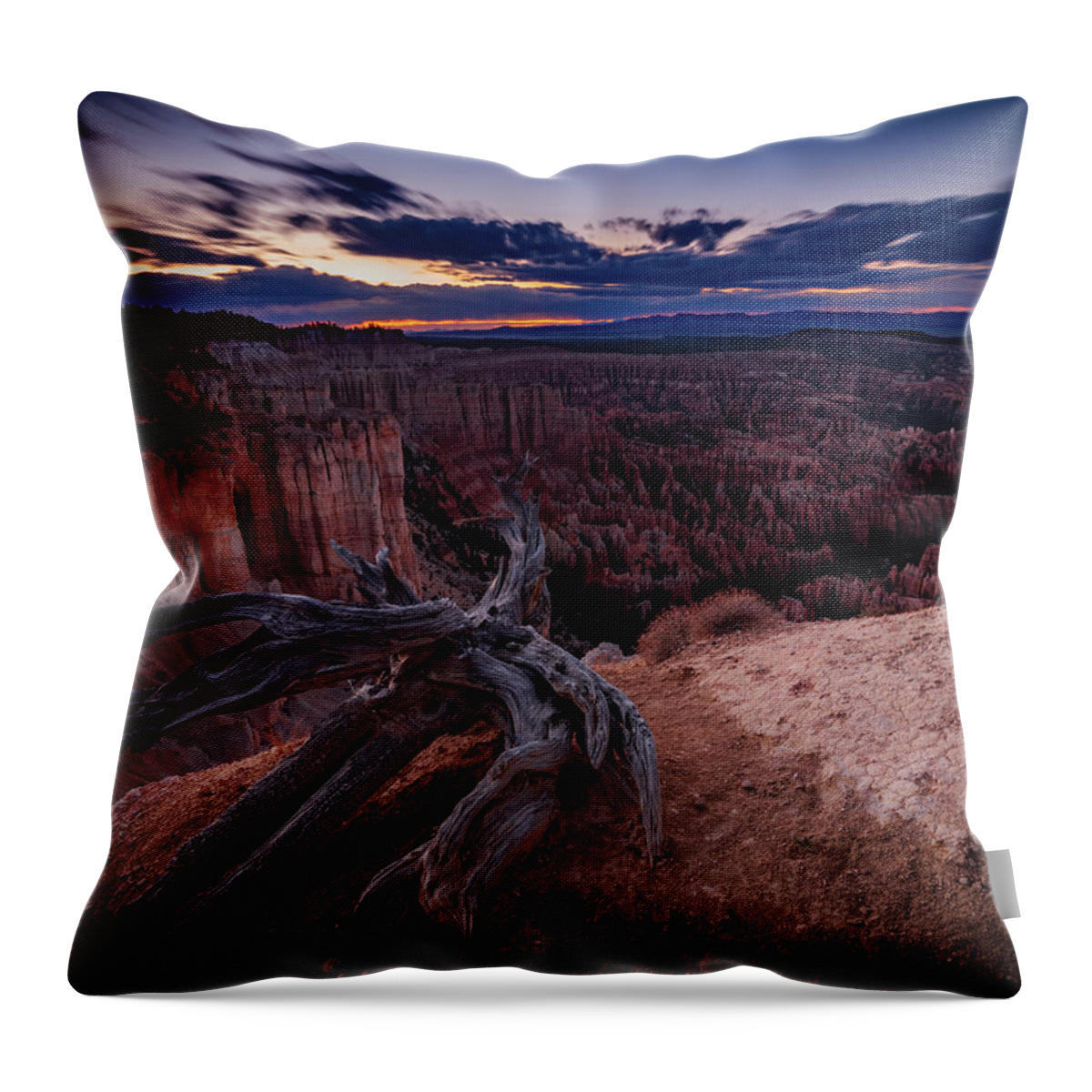 Art Throw Pillow featuring the photograph Rise of Phoenix by Edgars Erglis