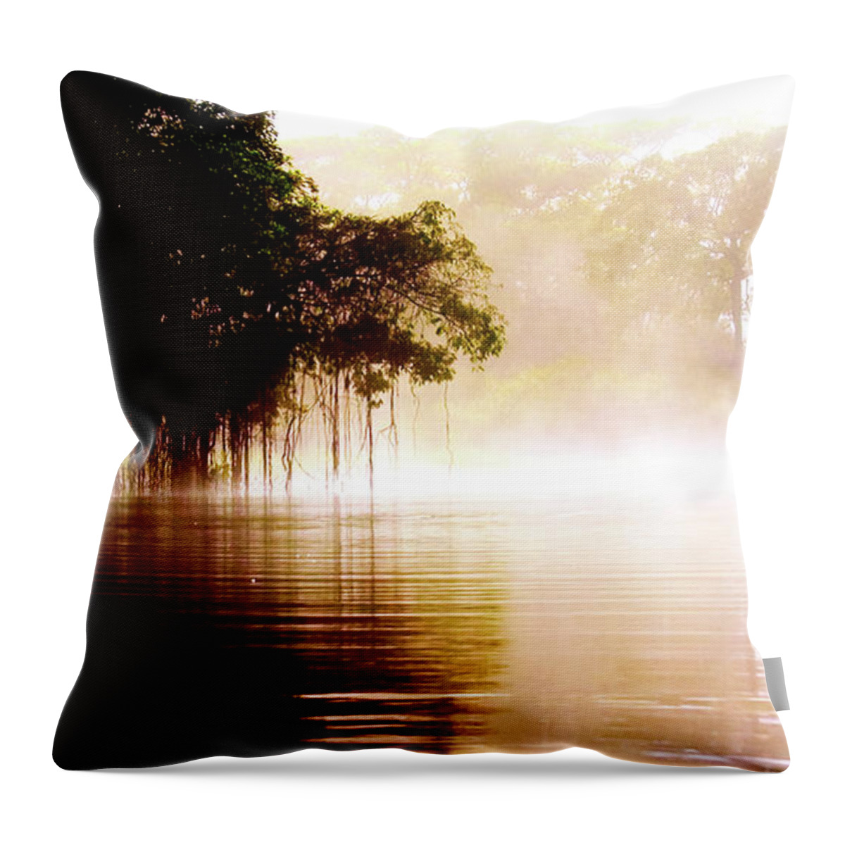 River Throw Pillow featuring the photograph River in the fog by Patricia Piotrak