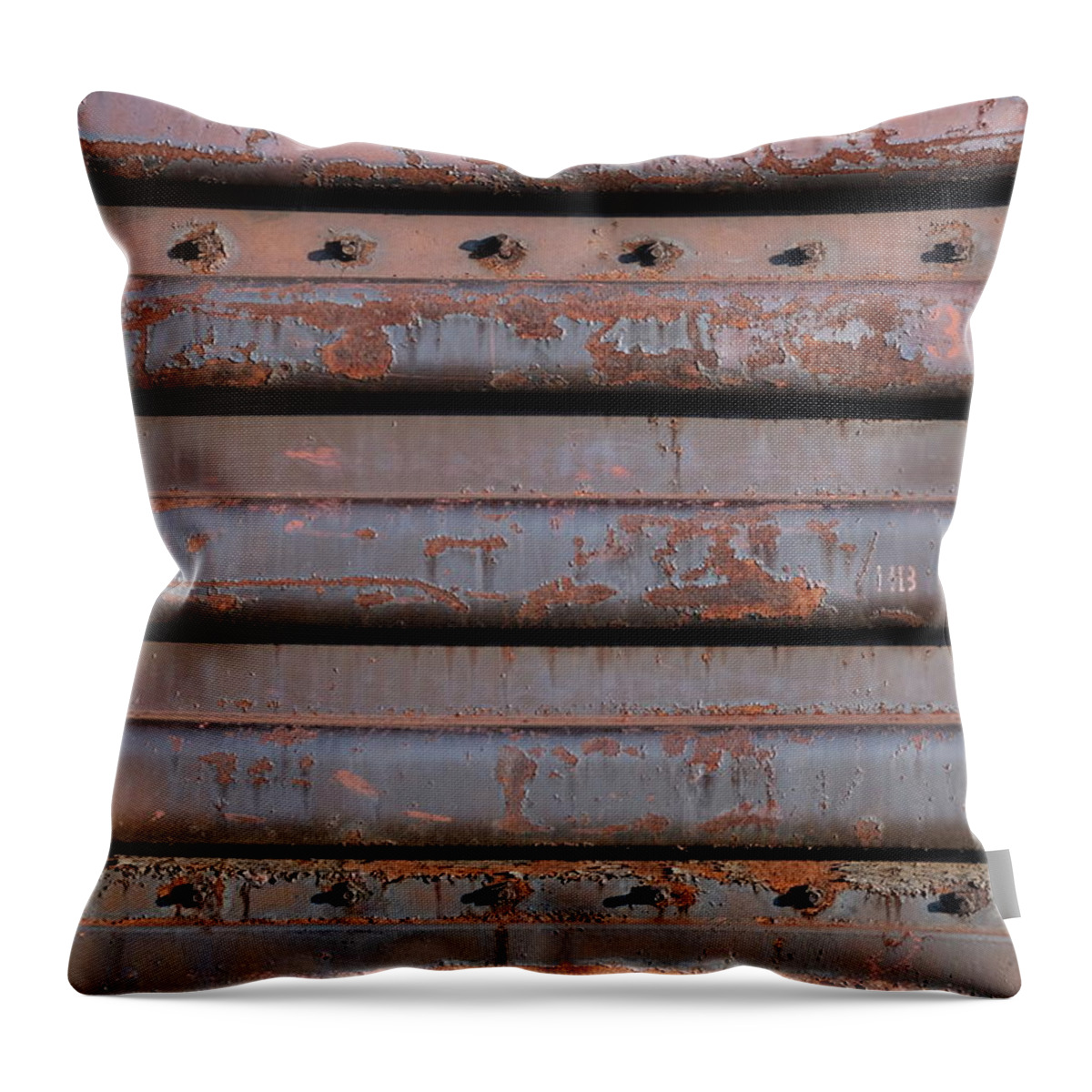 Train Throw Pillow featuring the photograph Rivets by Kreddible Trout