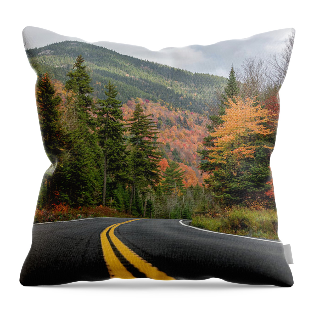 Lake Placid Throw Pillow featuring the photograph Road through the Adirondacks by Dave Niedbala