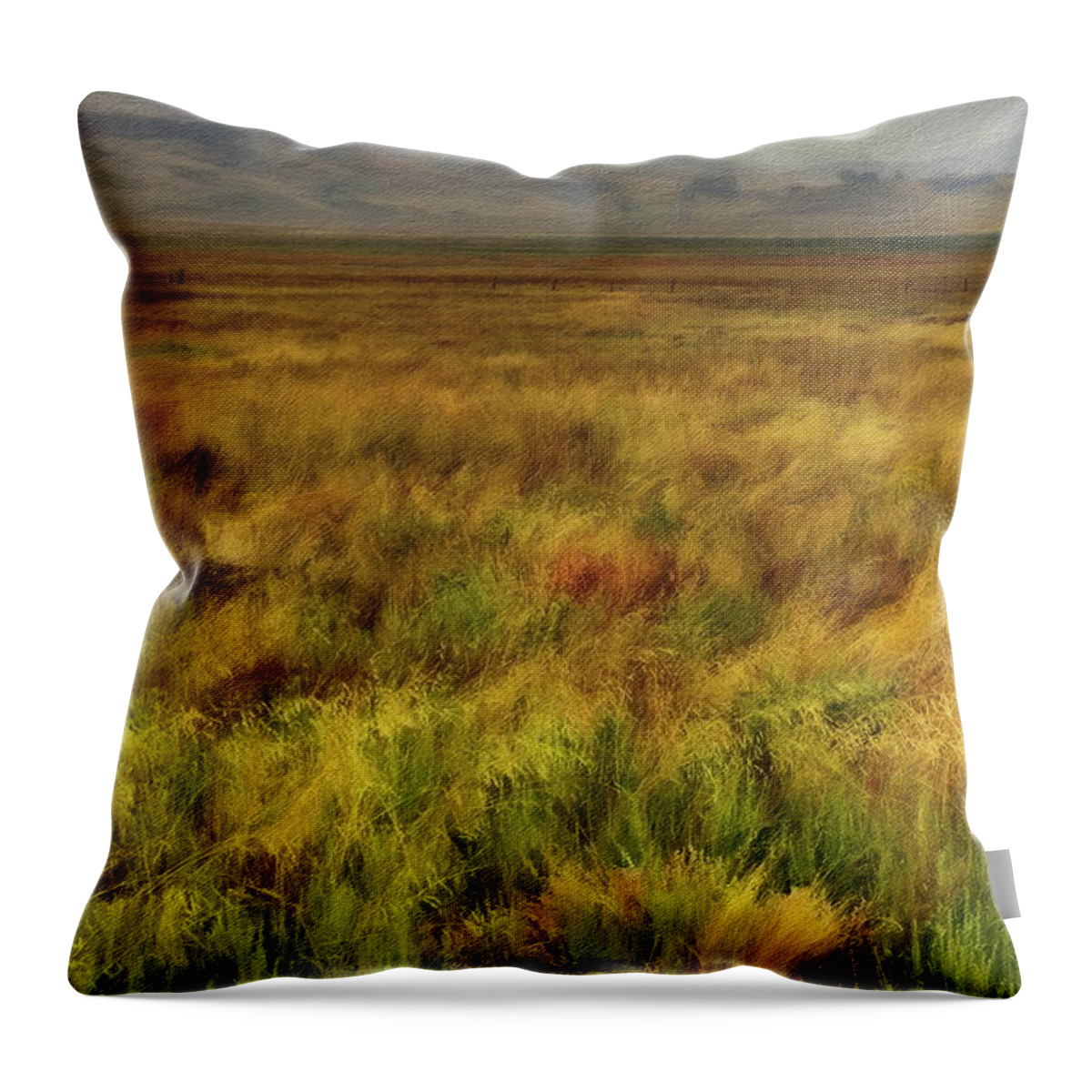 East County Throw Pillow featuring the digital art Road to Julian by Russ Harris