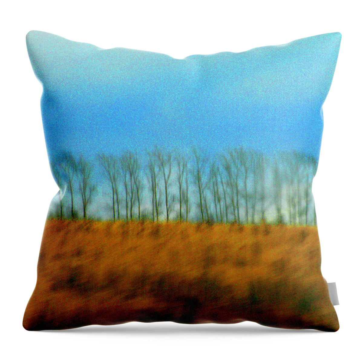 Abstract Throw Pillow featuring the photograph Road to Meshovsk by Robert Dann