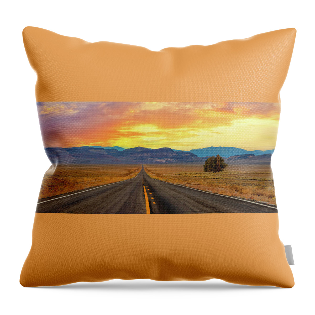 Utah Throw Pillow featuring the photograph Road To The Mountains Pano by Ali Nasser