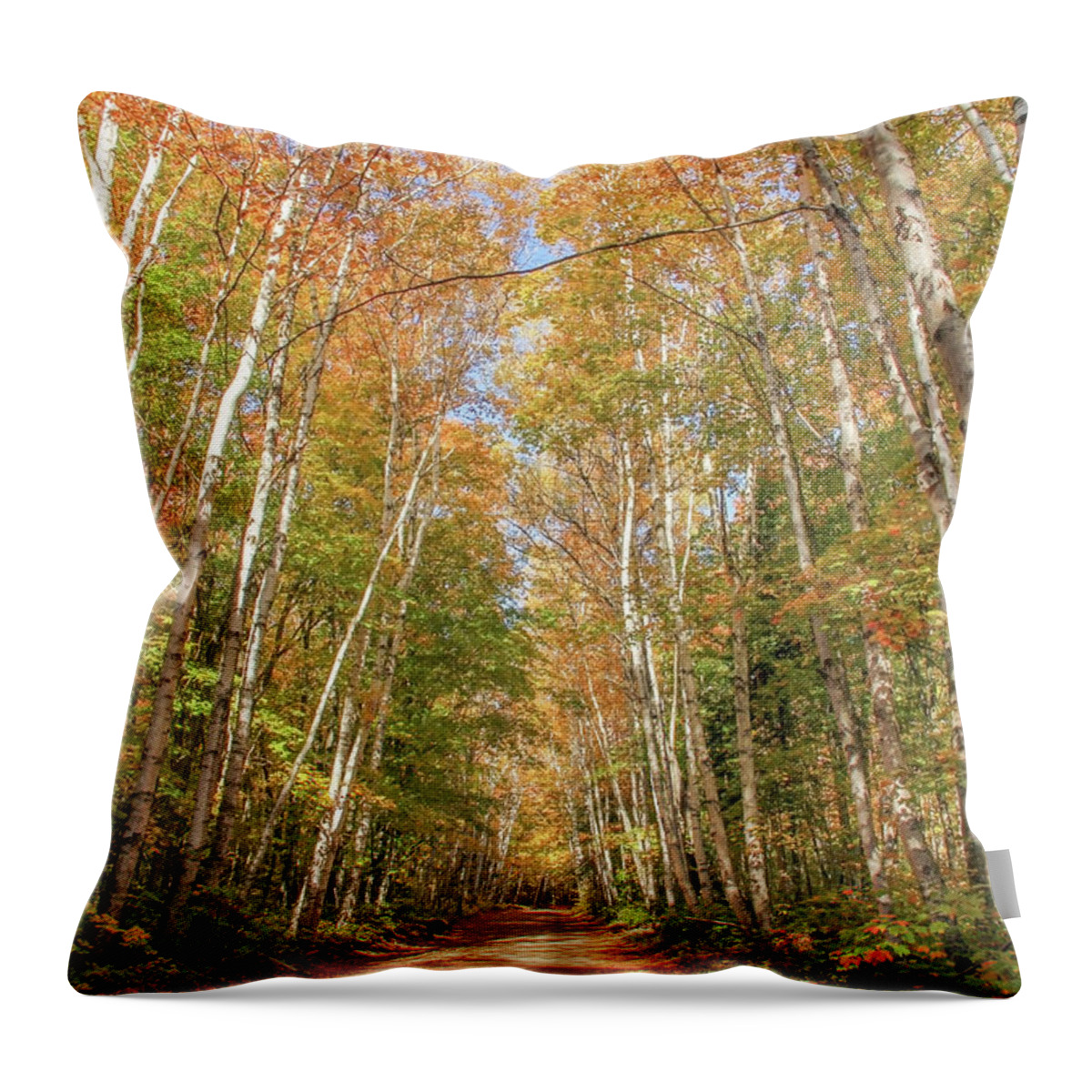 Michigan Throw Pillow featuring the photograph Road to the Trailhead by Robert Carter
