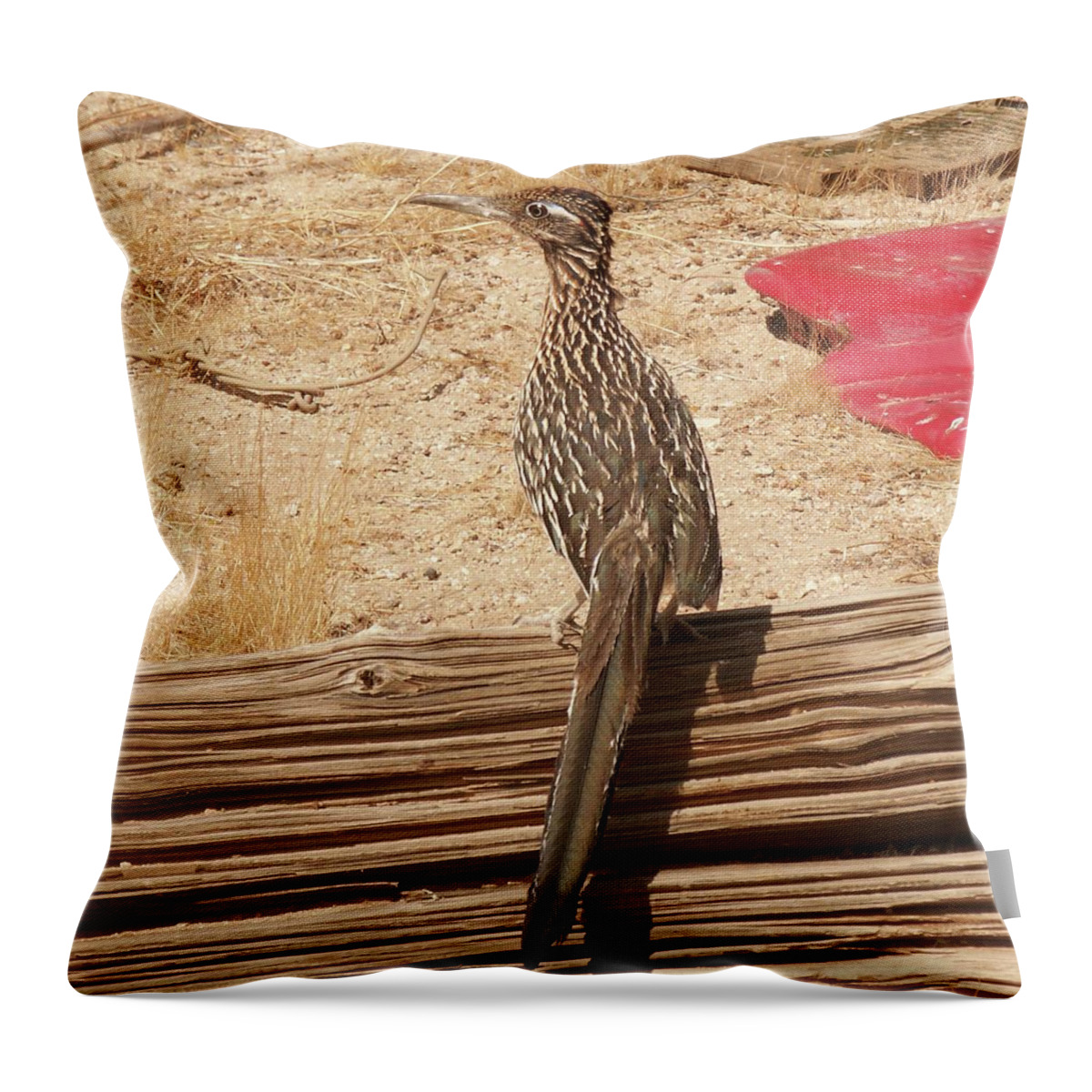 Roadrunner Throw Pillow featuring the photograph Roadrunner by Perry Hoffman