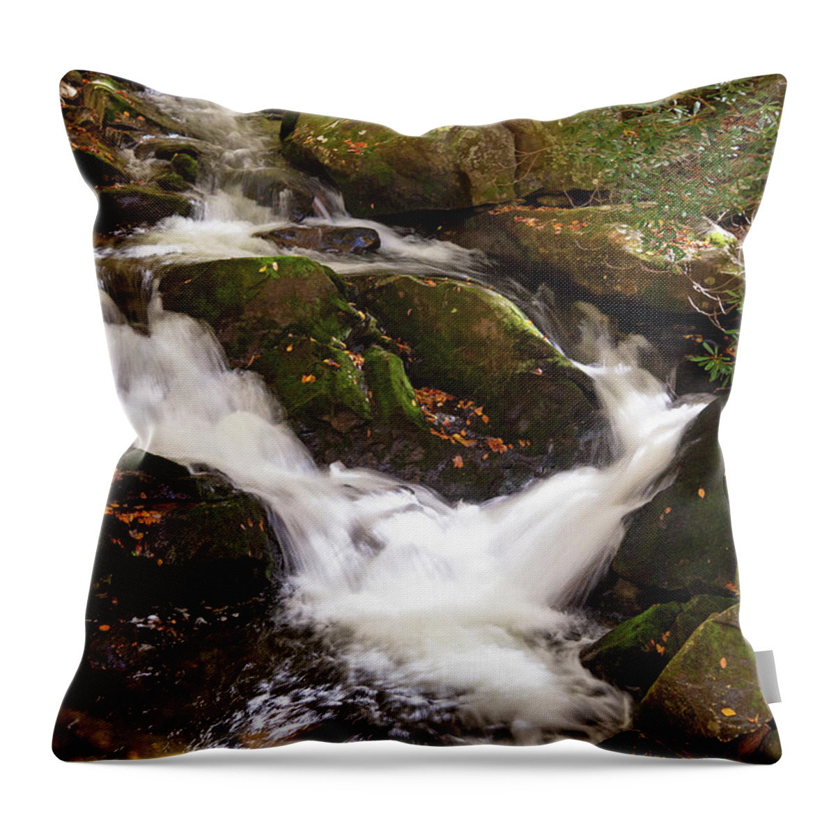 Stream Throw Pillow featuring the photograph Roadside Beauty by Gina Fitzhugh