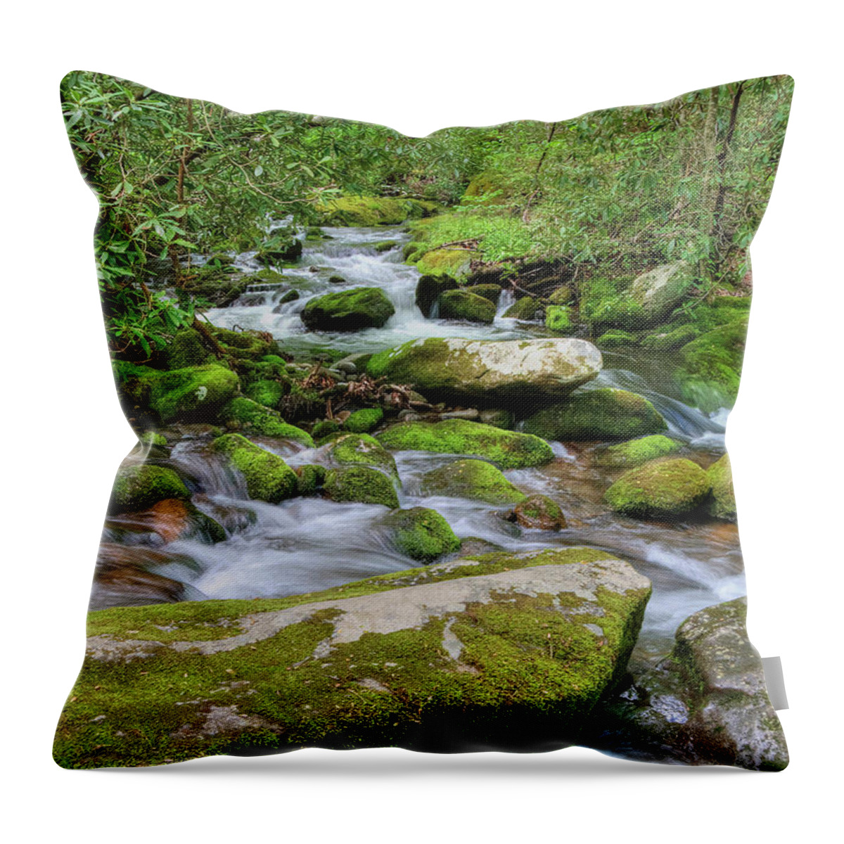 Stream Throw Pillow featuring the photograph Roaring Fork by Randall Dill