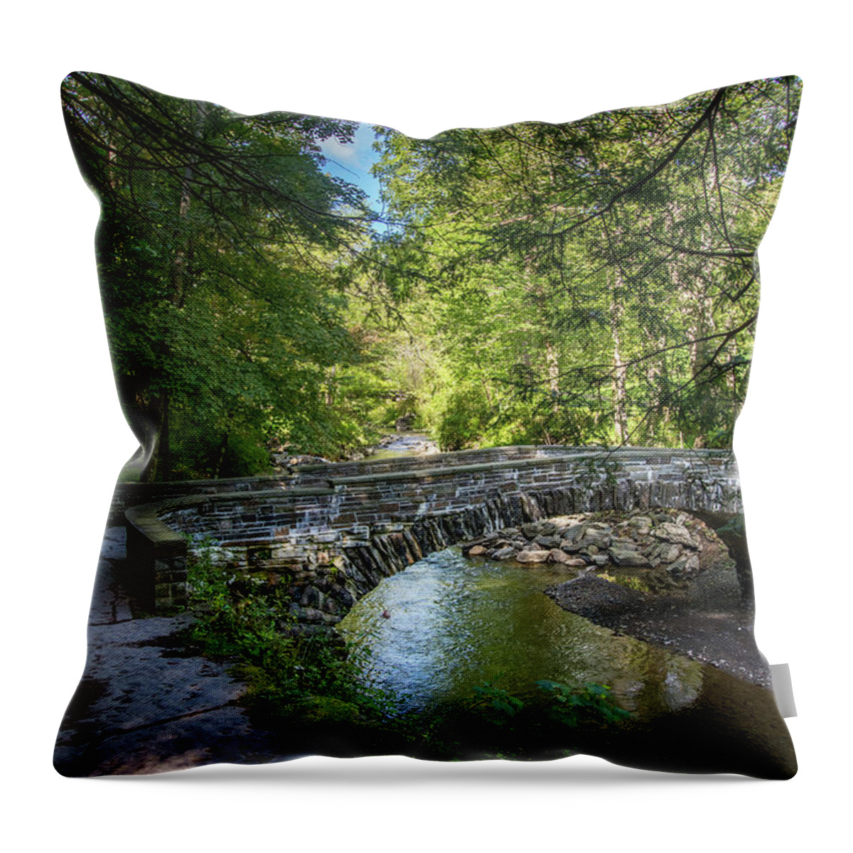 Robert H. Treman State Park Throw Pillow featuring the photograph Robert H. Treman State Park 4 by Dimitry Papkov