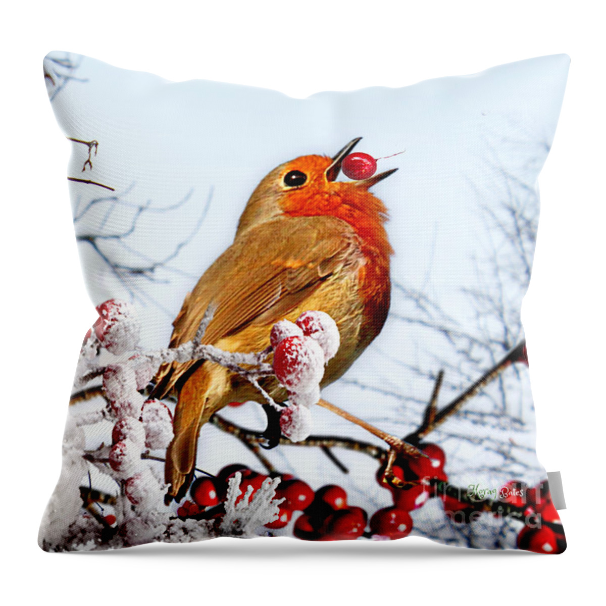 Robin Throw Pillow featuring the mixed media Robin and Berries in Snow by Morag Bates