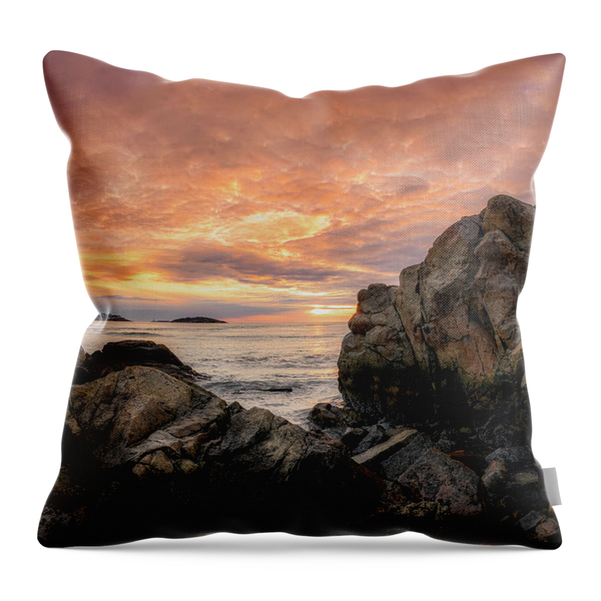 Good Harbor Beach Throw Pillow featuring the photograph Rock View, Good Harbor by Michael Hubley