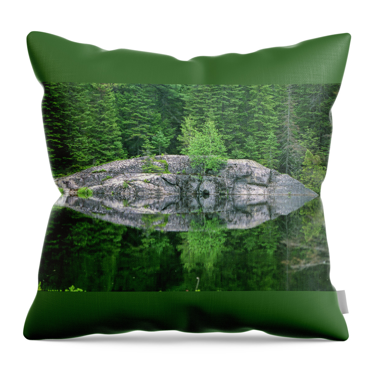 Nature Throw Pillow featuring the photograph Rocky Reflection by David Porteus