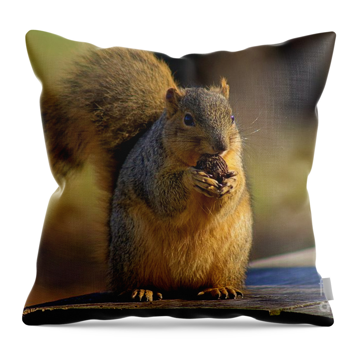 Squirrel Throw Pillow featuring the photograph Rocky's eating dinner by Yvonne M Smith