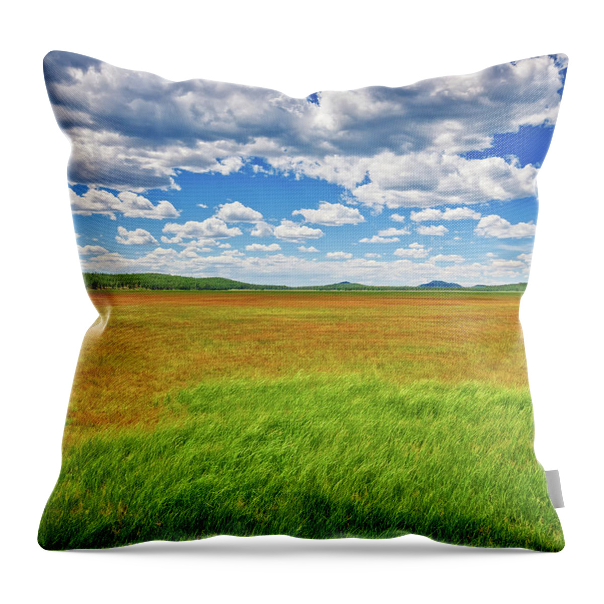 Arizona Throw Pillow featuring the photograph Rogers Lake by Jeff Goulden
