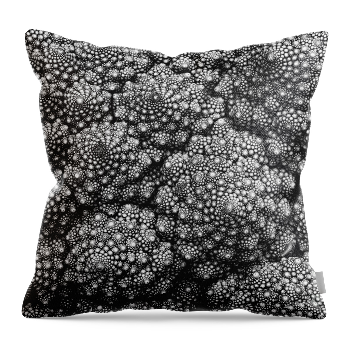 Romanesque Throw Pillow featuring the photograph Romanesco Cauliflower Pattern Monochrome by Tim Gainey