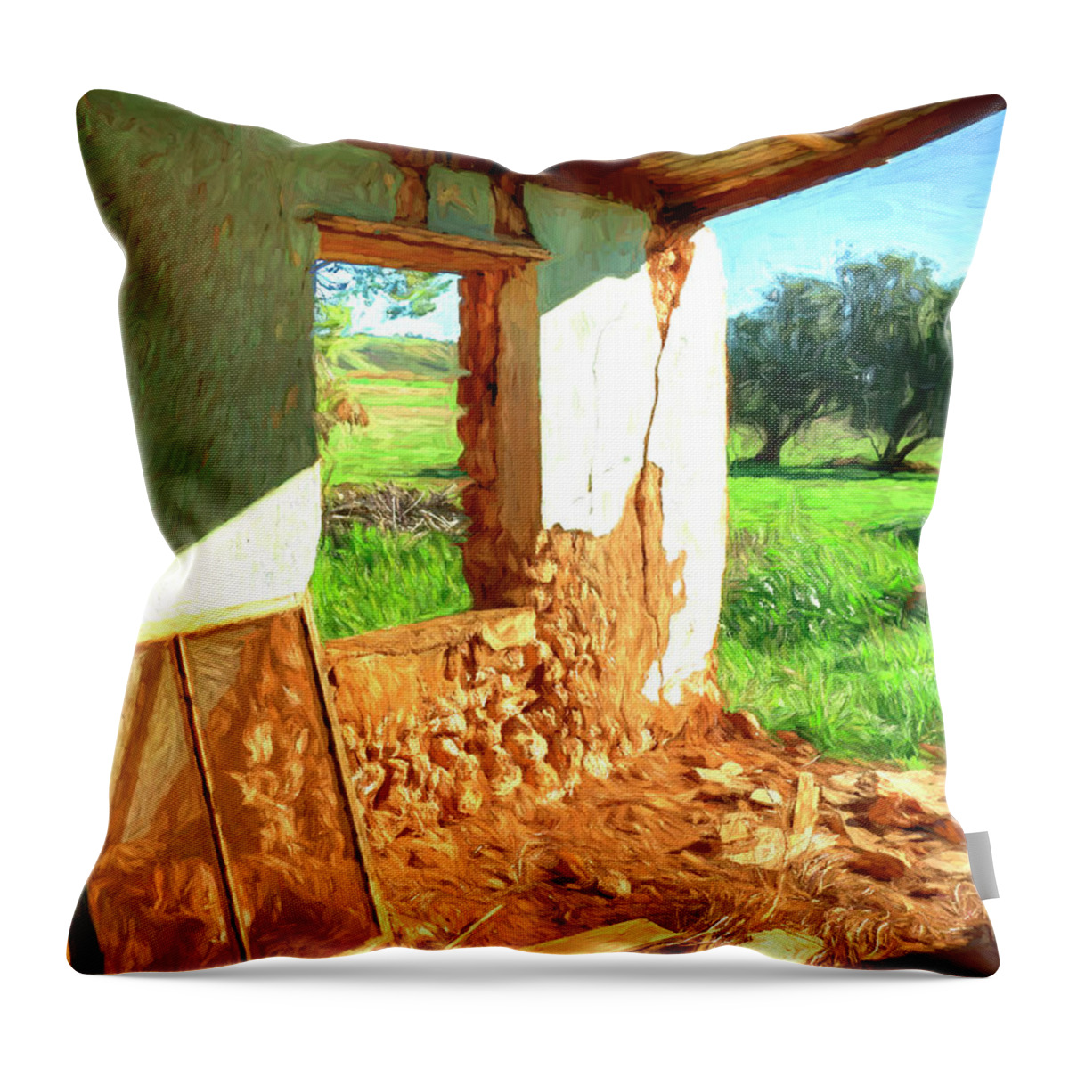 Abandoned Throw Pillow featuring the digital art Room With A View by Wayne Sherriff