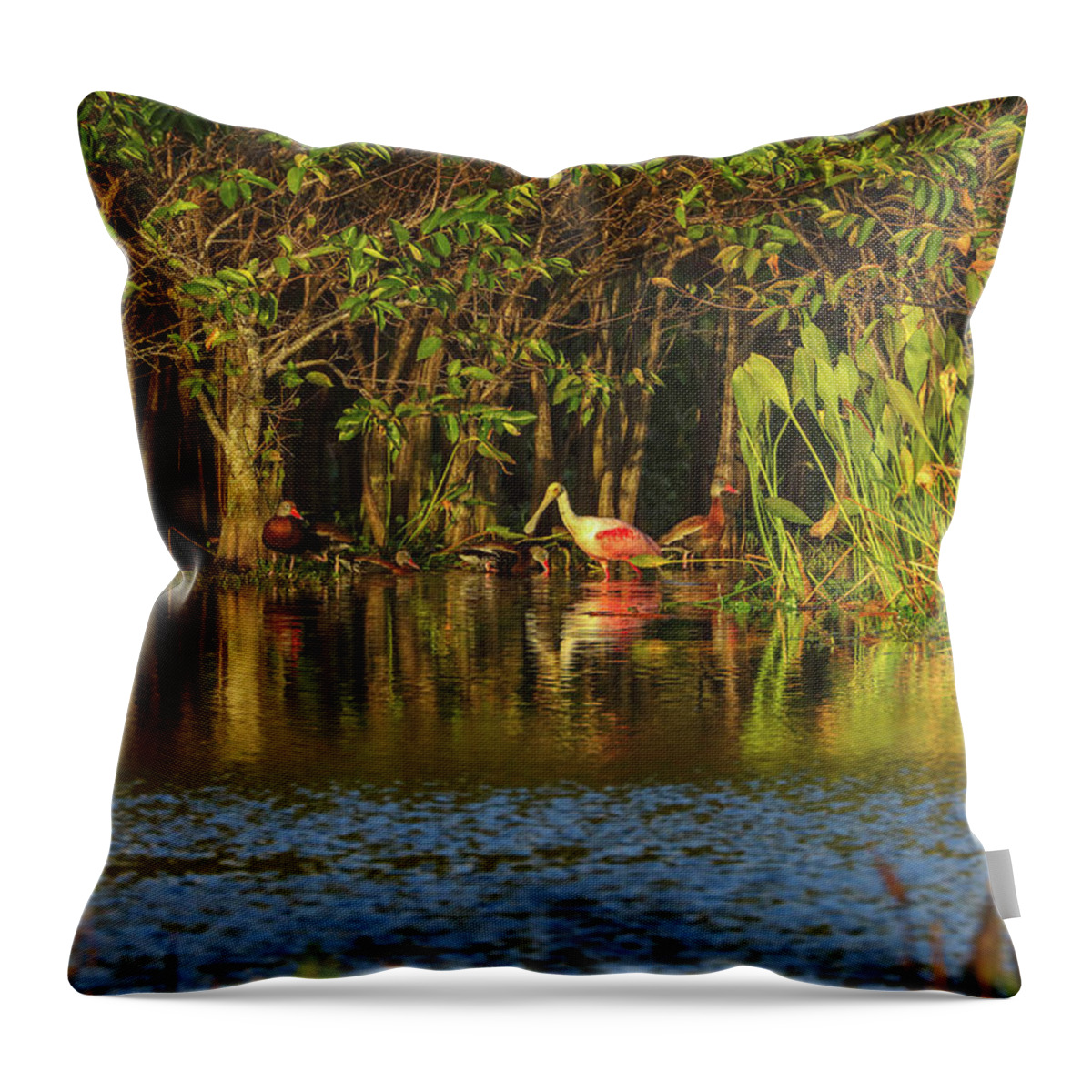 Spoonbill Throw Pillow featuring the photograph Rooseate Spoonbill by Juergen Roth