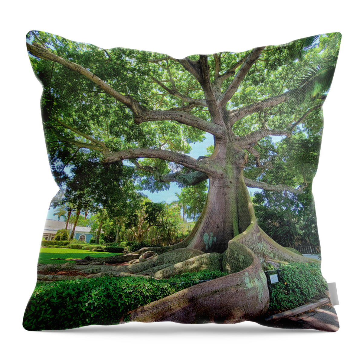Flagler Museum Throw Pillow featuring the photograph Rooted in Majesty Captivating the Beauty of the Kapok Tree on Pa by Kim Seng