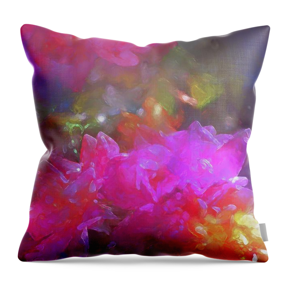 Floral Throw Pillow featuring the photograph Rose 250 by Pamela Cooper