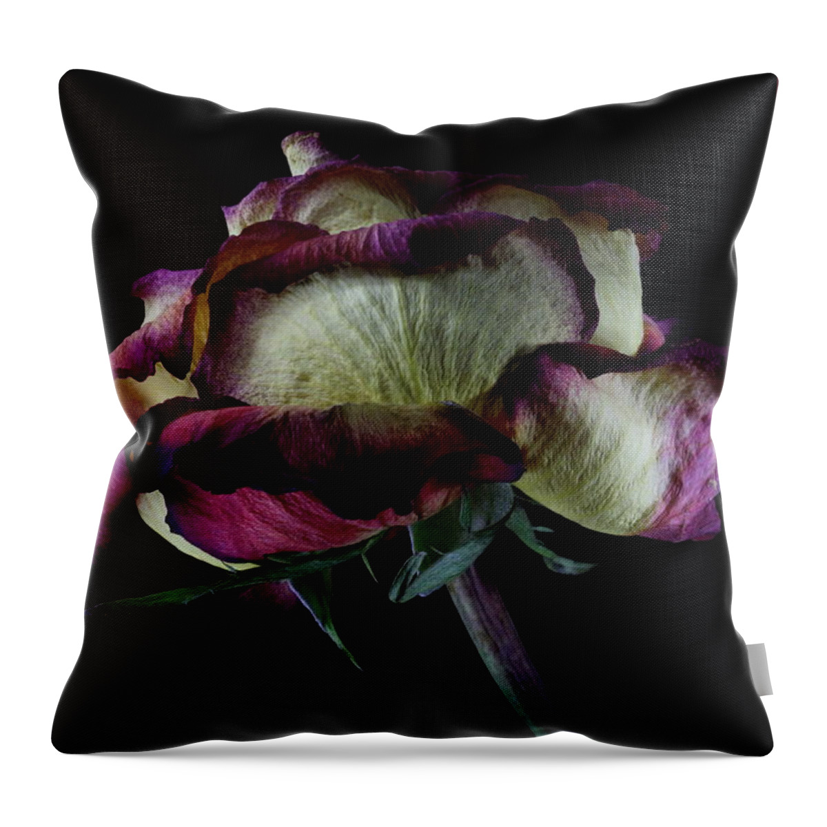 Macro Throw Pillow featuring the photograph Rose 3092 by Julie Powell