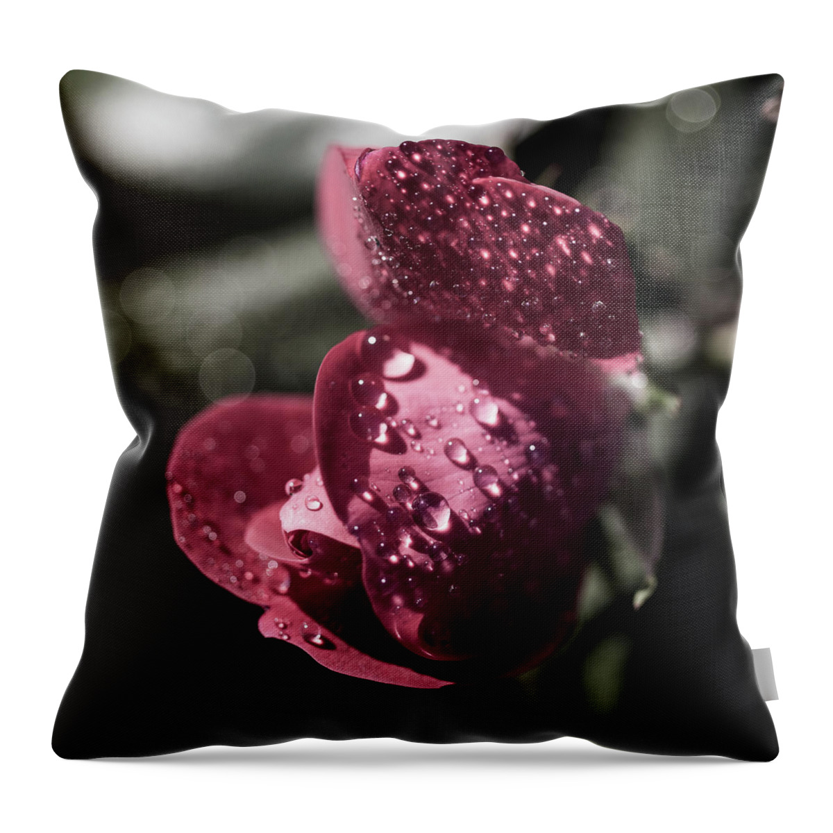 Flower Throw Pillow featuring the photograph Rose by David Beechum