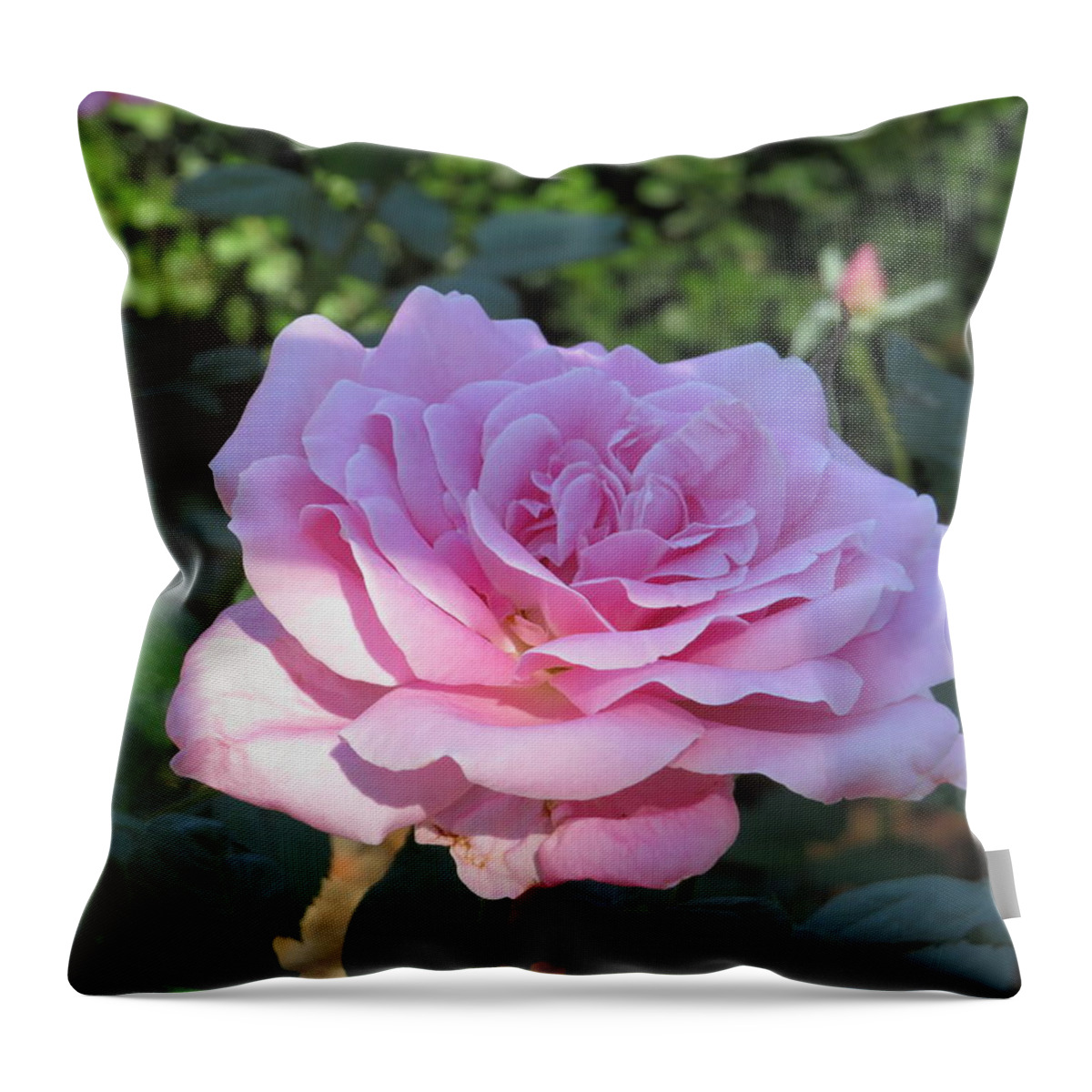 Throw Pillow featuring the photograph Rose Garden by Raymond Fernandez