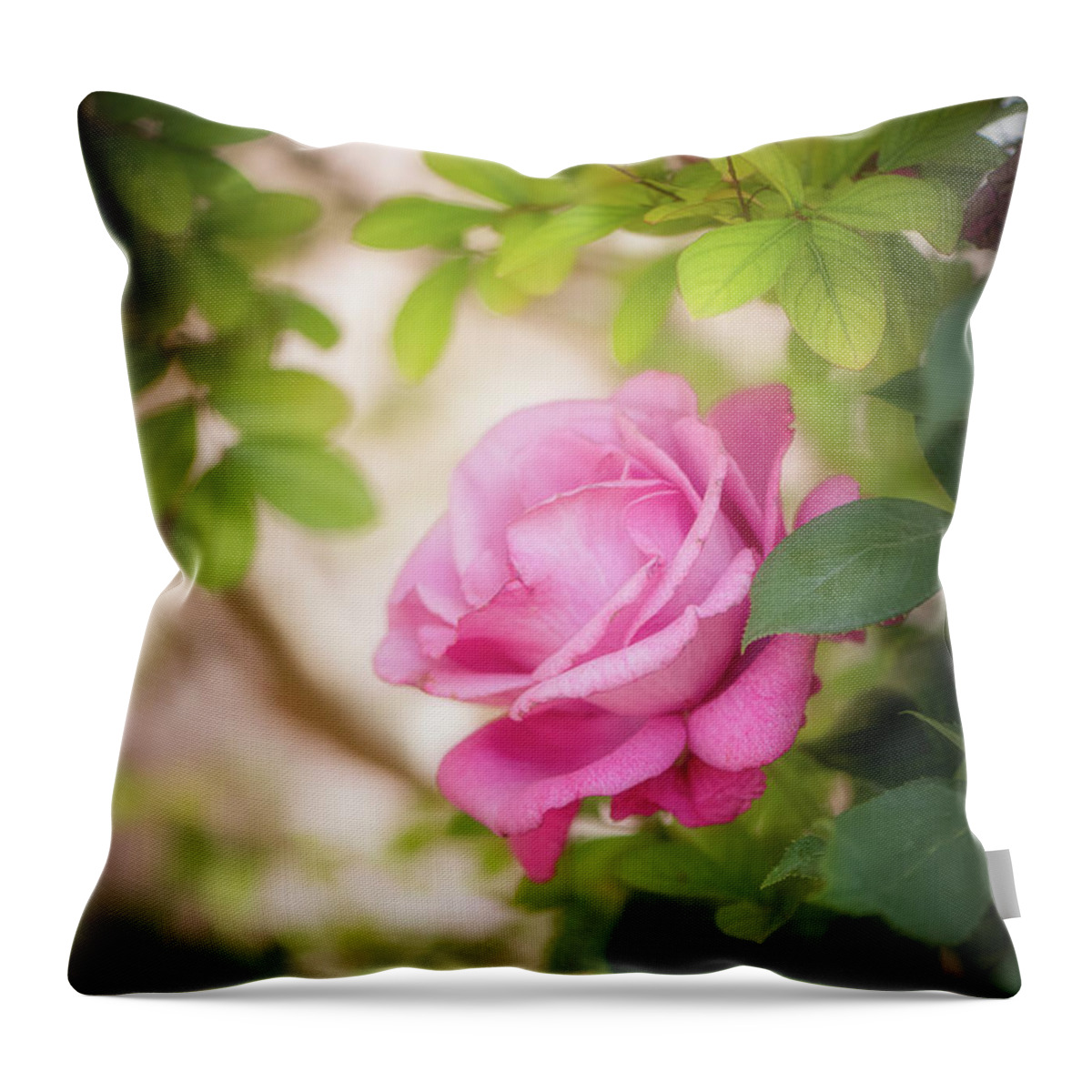 Rose Throw Pillow featuring the photograph Rose in the Light by Philippe Sainte-Laudy