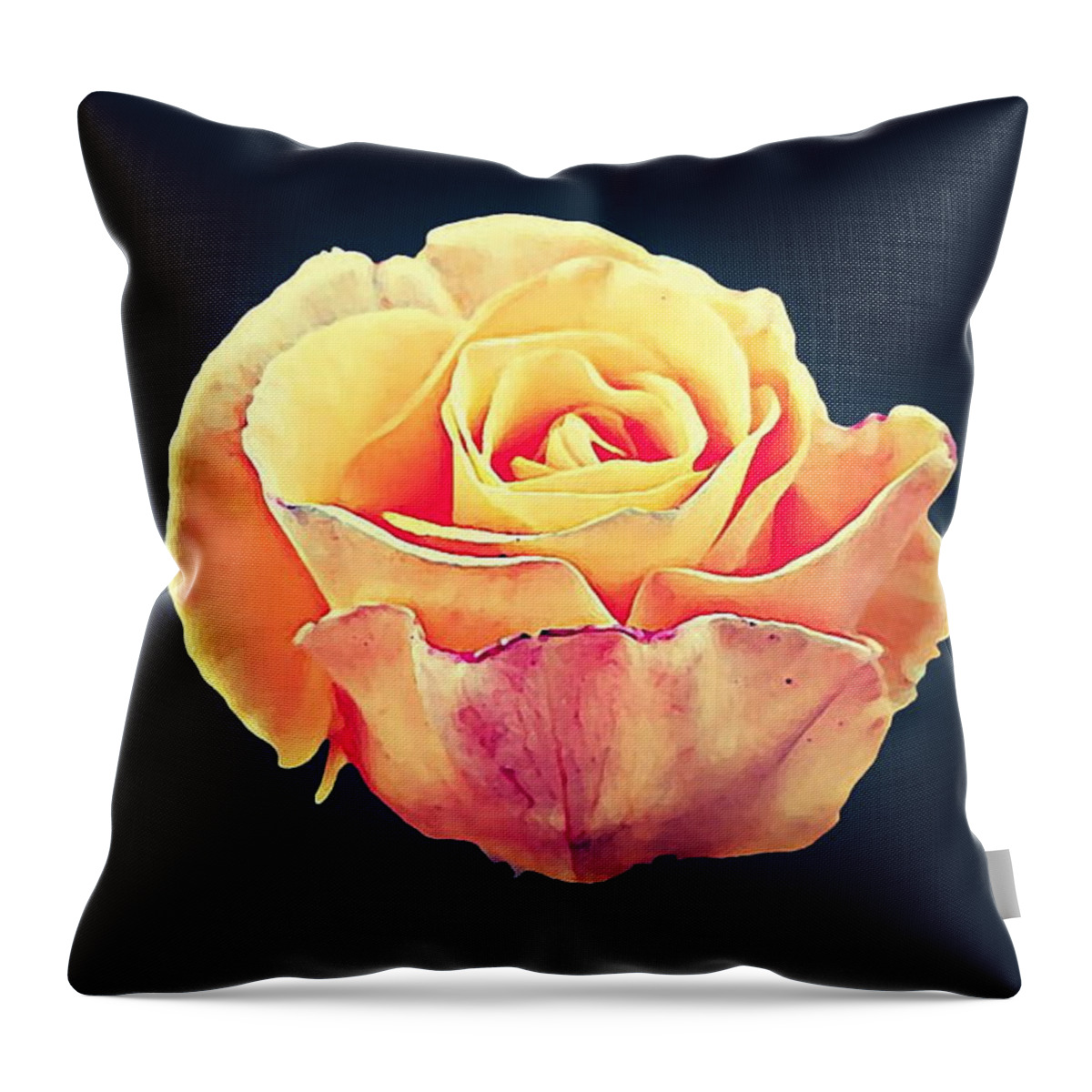 A Single Rose Throw Pillow featuring the photograph Rose Love by Tracey Lee Cassin