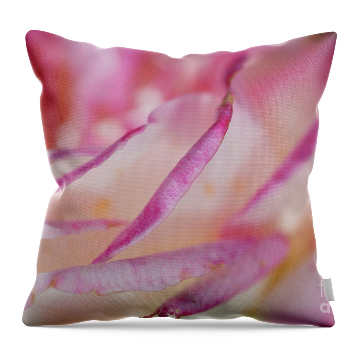 Floribunda Throw Pillow featuring the photograph Rose Pleats Pink by Joy Watson