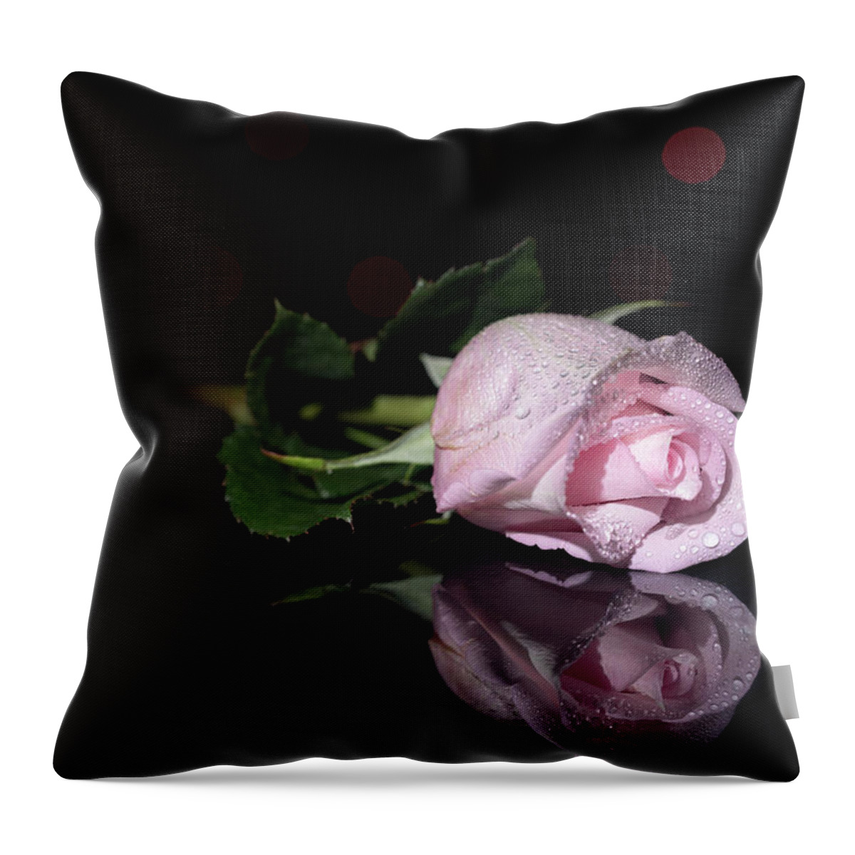 Rose Pose Flower Studio Reflection Water Dew Drop Drops Bokeh Floral Staging Botany Throw Pillow featuring the photograph Rose Pose by Brian Hale