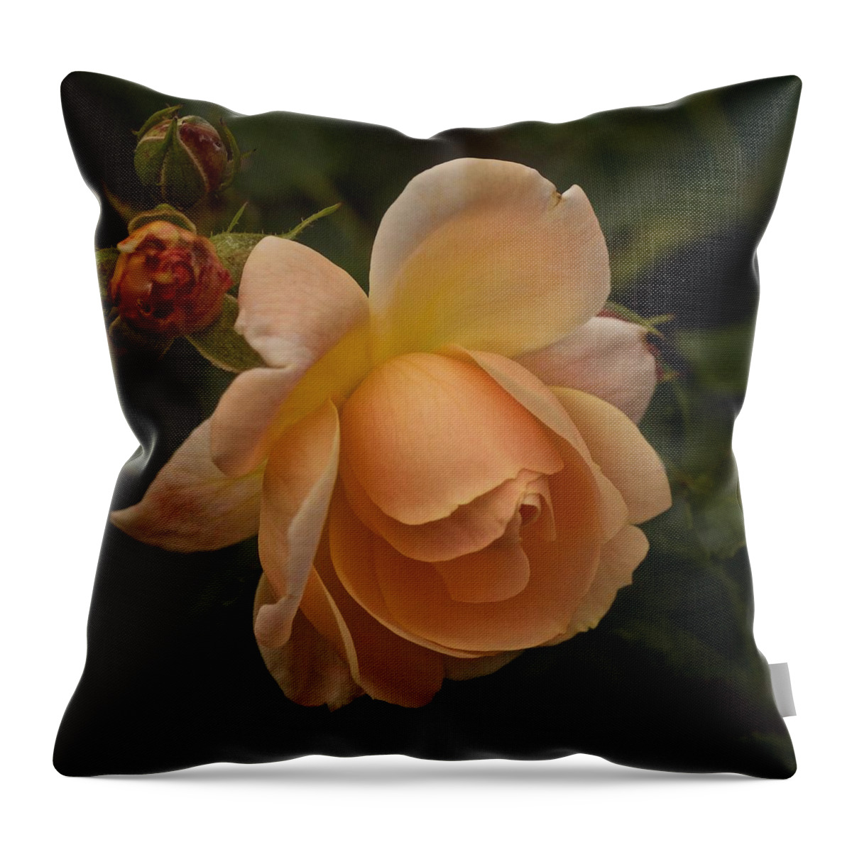 Rose Throw Pillow featuring the photograph Rose Singularity by Richard Cummings