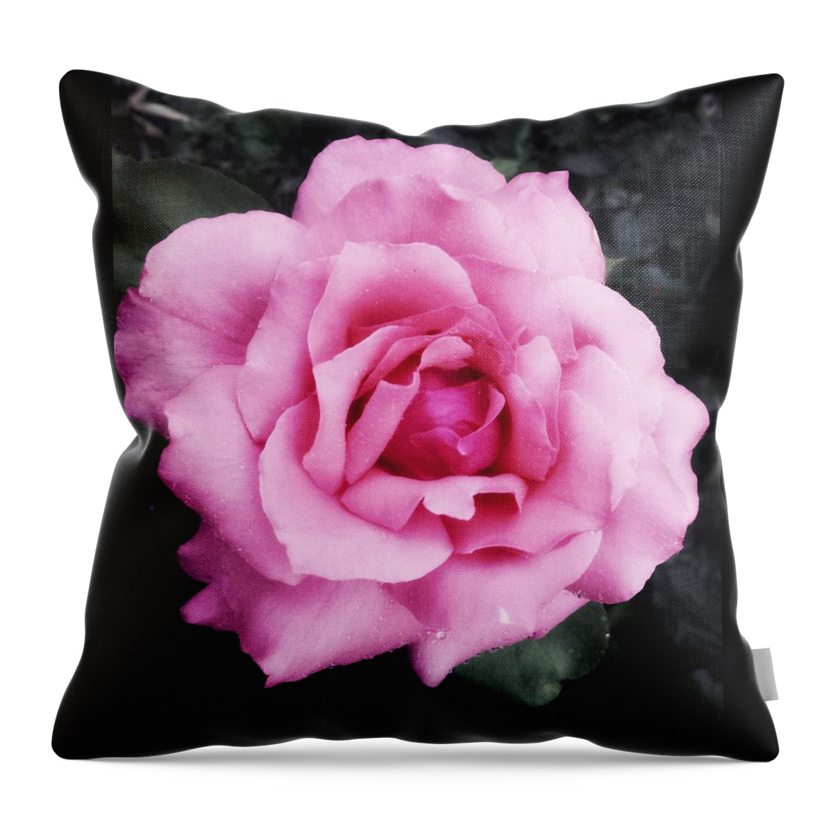 Pink Throw Pillow featuring the photograph Rose by Tanja Leuenberger