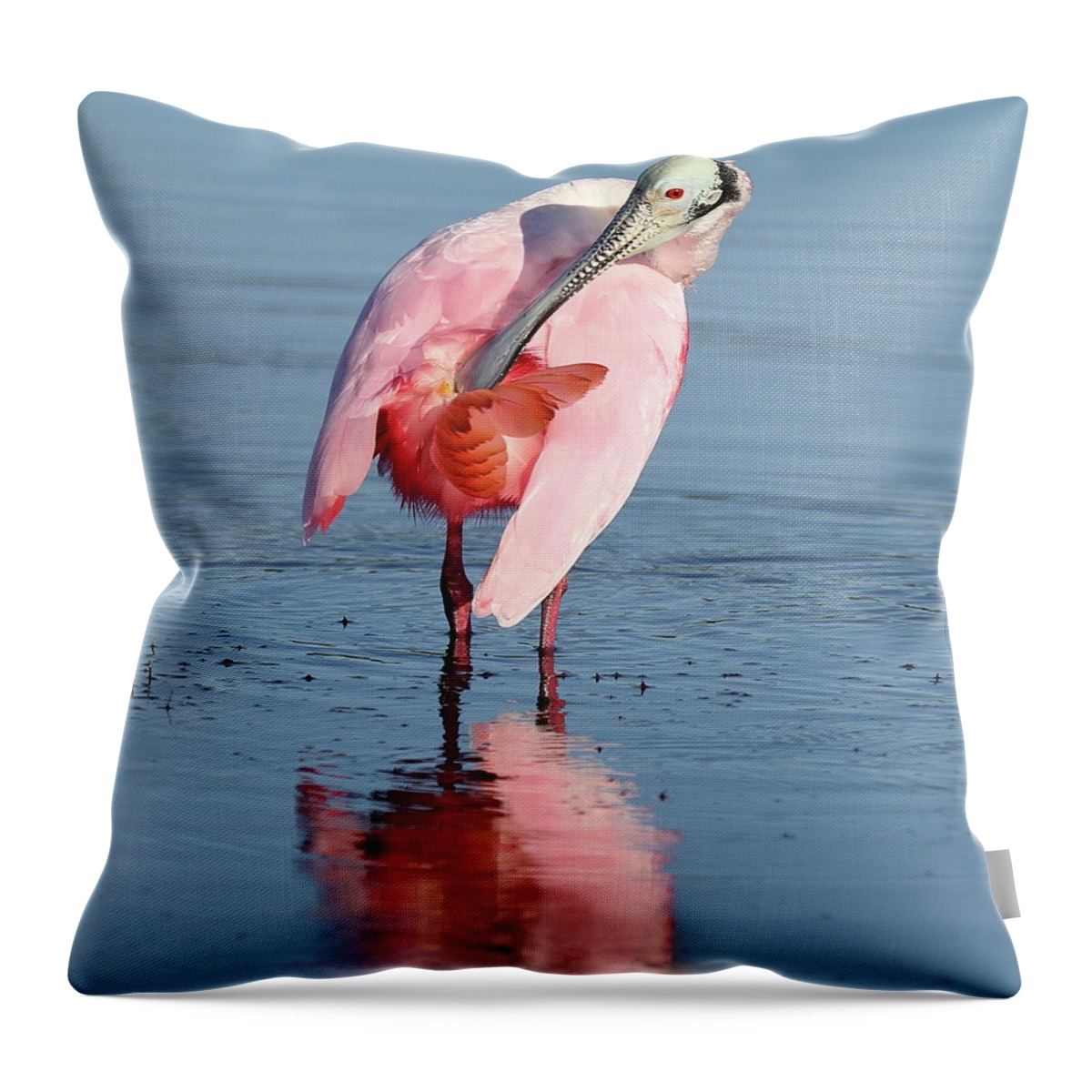 Roseate Spoonbill Throw Pillow featuring the photograph Roseate Spoonbill 5 by Mingming Jiang