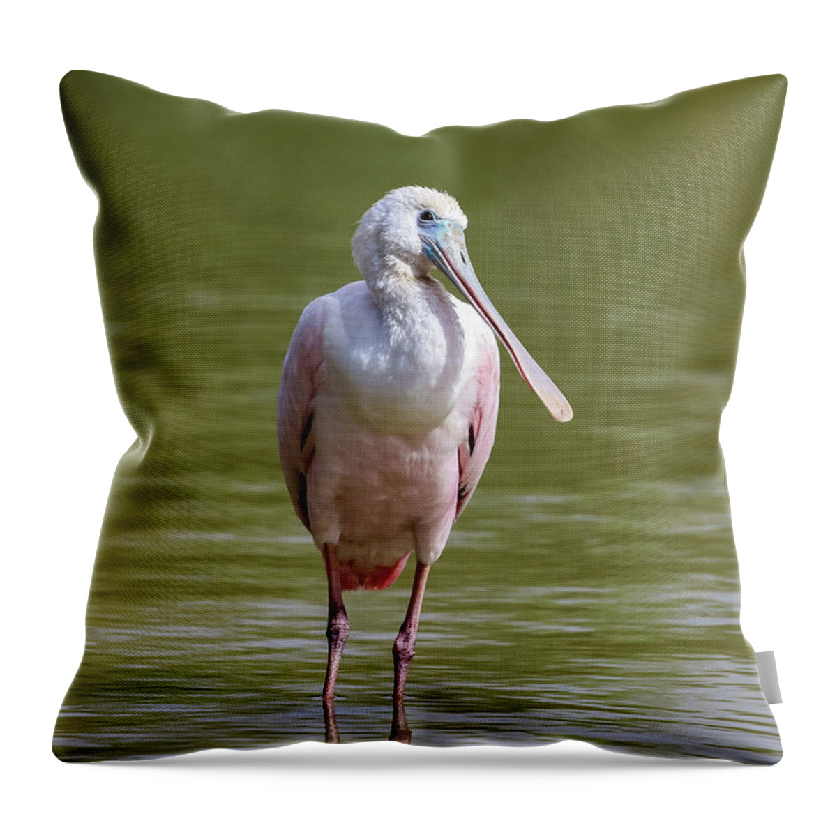 2020 Throw Pillow featuring the photograph Roseate Spoonbill Close Up by Dawn Richards