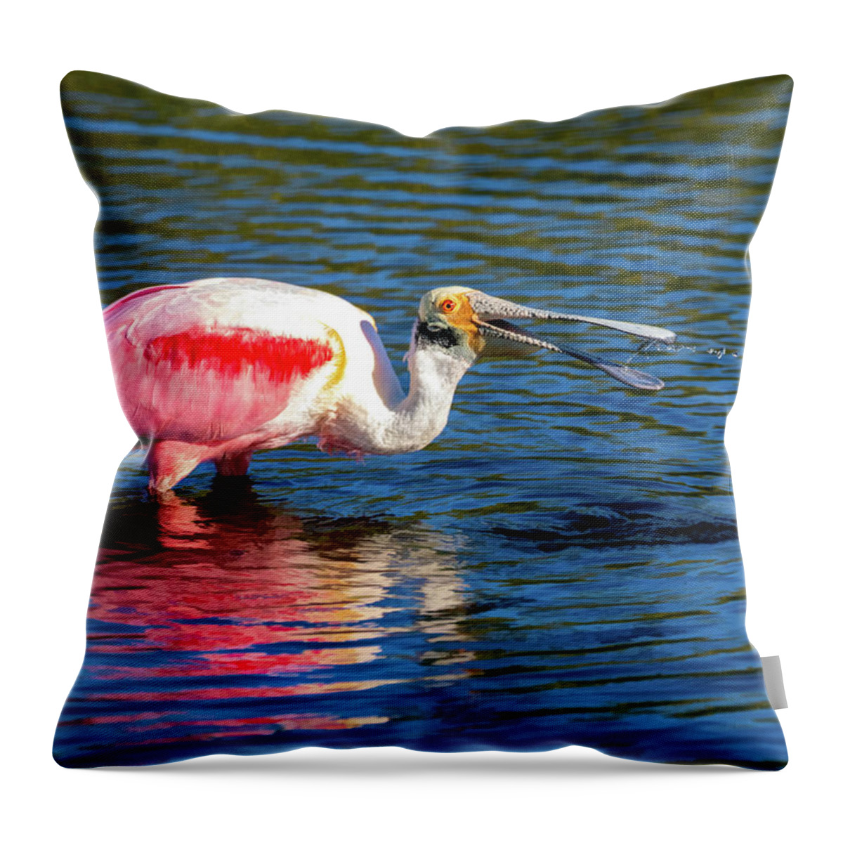 Roseate Spoonbill Throw Pillow featuring the photograph Roseate Spoonbill Fishing by Jaki Miller