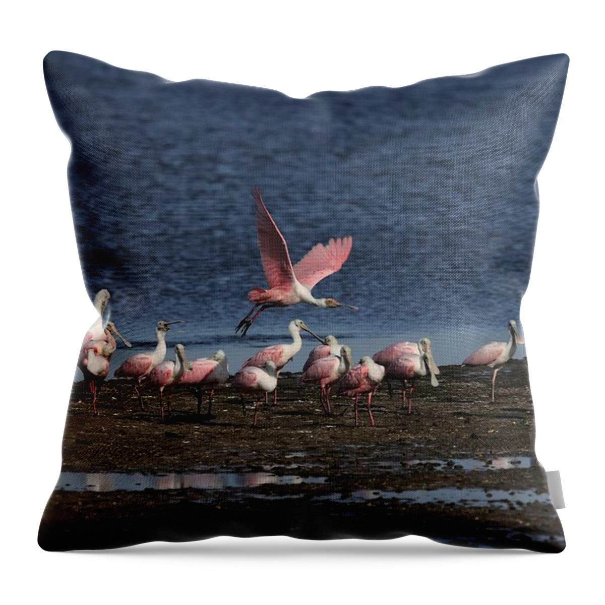 Roseate Spoonbill Throw Pillow featuring the photograph Roseate Spoonbills Gather Together 4 by Mingming Jiang