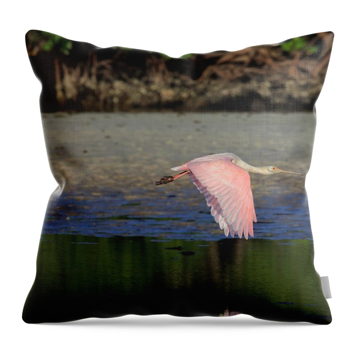 Roseate Spoonbill Throw Pillow featuring the photograph Roseate Spoonbill in Flight by Mingming Jiang