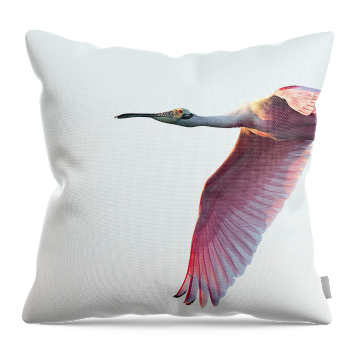 Www.fstop.com Throw Pillow featuring the photograph Roseate spoonbill Spreading its Wings by Puttaswamy Ravishankar