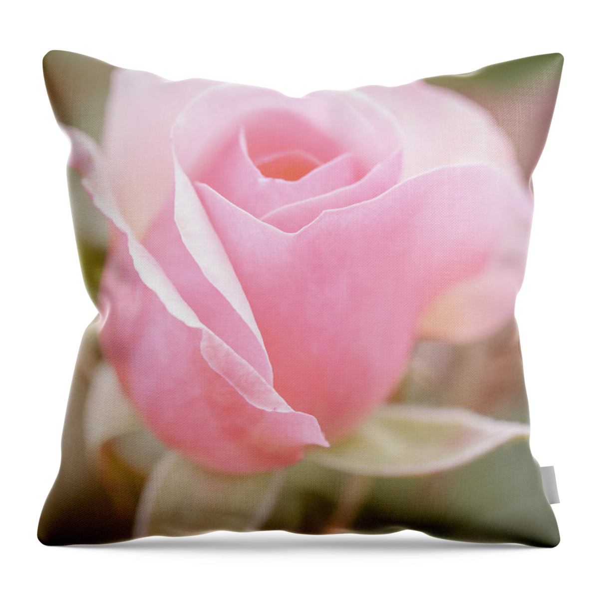 Face Throw Pillow featuring the photograph Rosebud 4 by Ryan Weddle