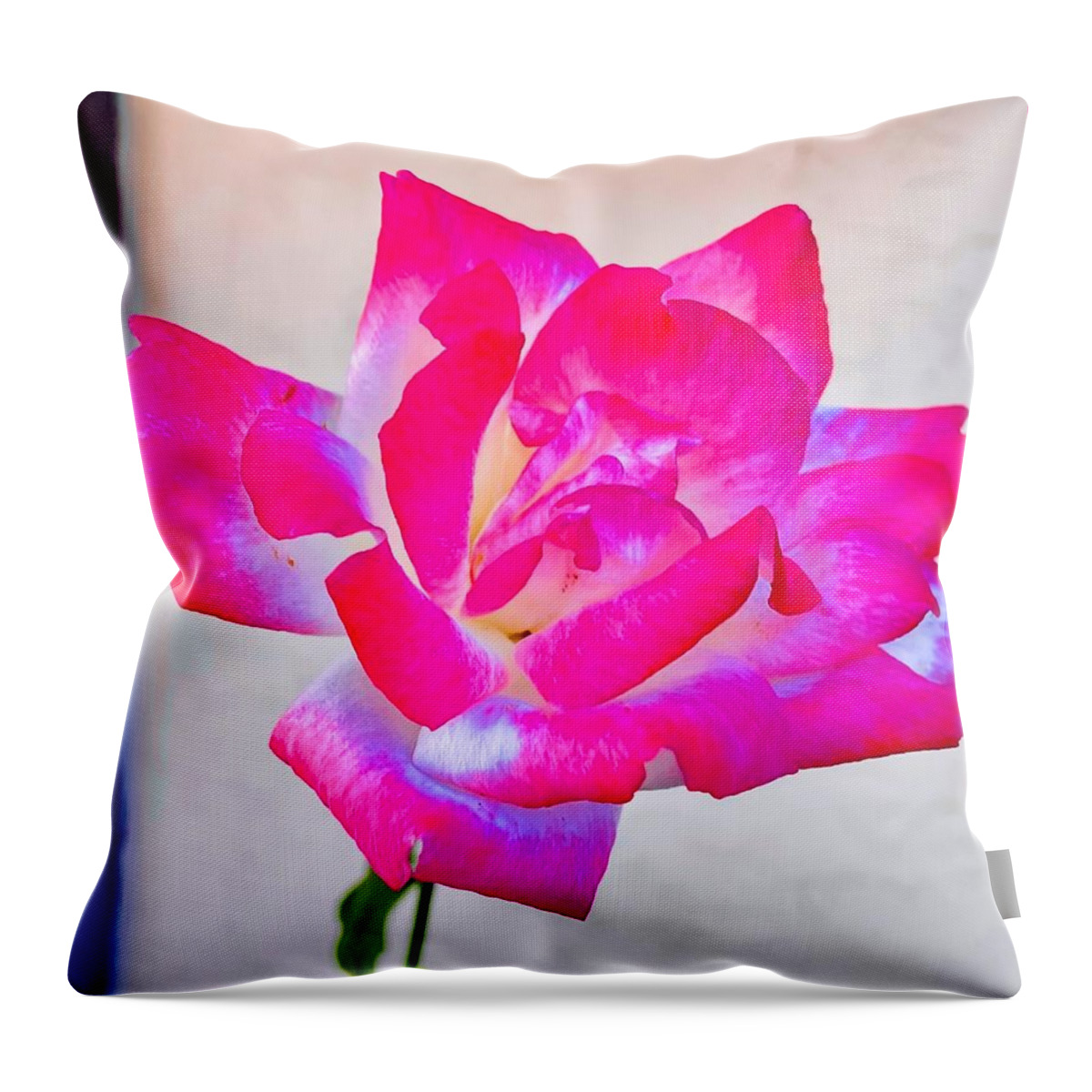Flowers Throw Pillow featuring the photograph Roses by John Anderson